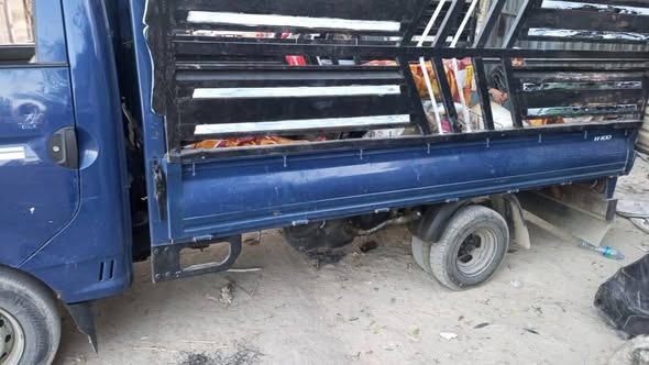 هيونداي بورتر 2009 - صورة 3