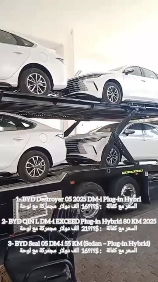 بي واي دي سيل 2025