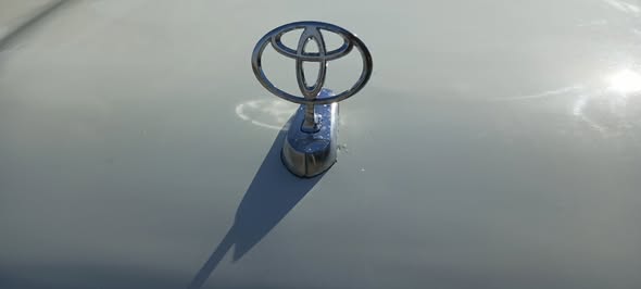 تويوتا بيكاب 1994 - صورة 4