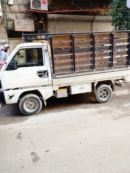 شانجي كارت 2010 - صورة 4