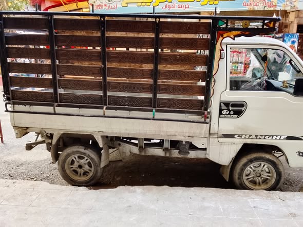 شانجي كارت 2010 - صورة 1