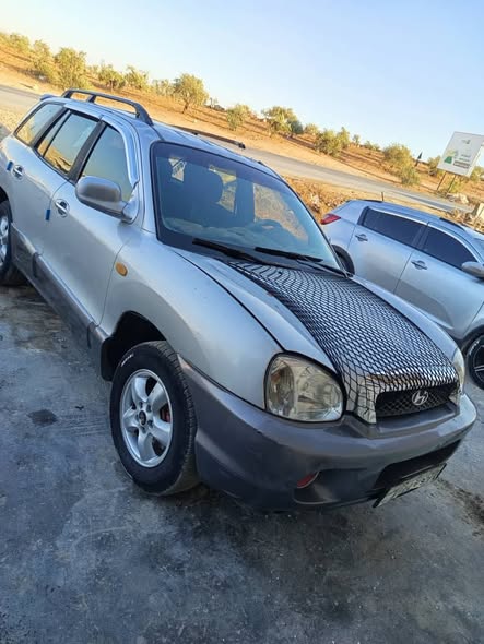 هيونداي سنتافي 2005 - صورة 1