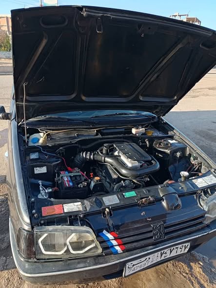 بيجو روى 2006 - صورة 2