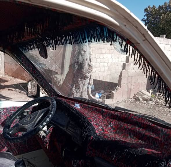 فاو Pickup 2006 - صورة 2