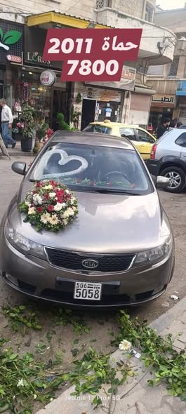 كيا سيراتو 2011 - صورة 1