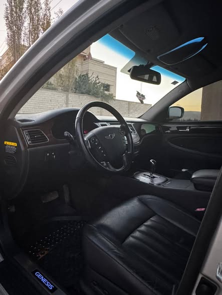 Genesis Genesis 2010 - صورة 3