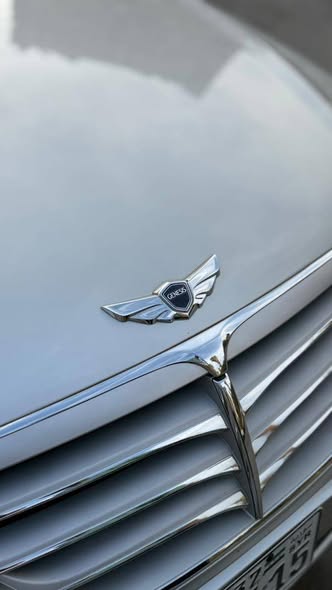 Genesis Genesis 2010 - صورة 2