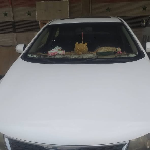 كيا كارت 2011 - صورة 4