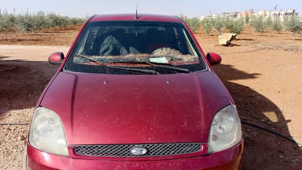 فورد فييستا 2006 - صورة 2