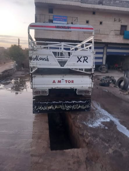 كيا كارتا 2009 - صورة 2