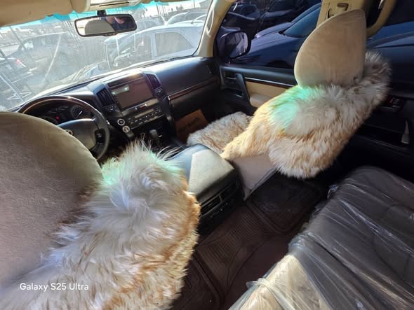 تويوتا لاند كروزر 2010 - صورة 5