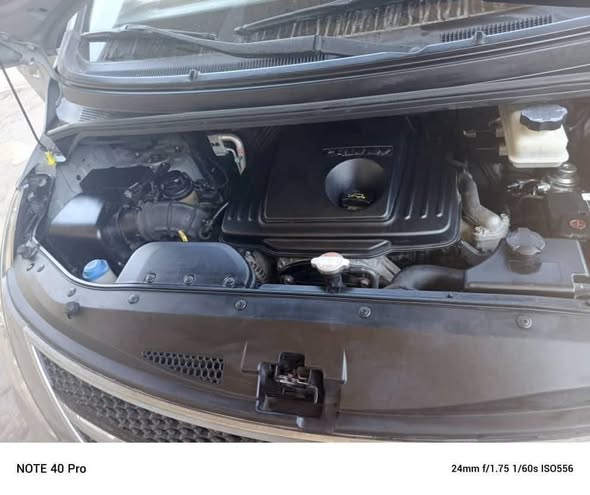 هيونداي H1 2010 - صورة 5