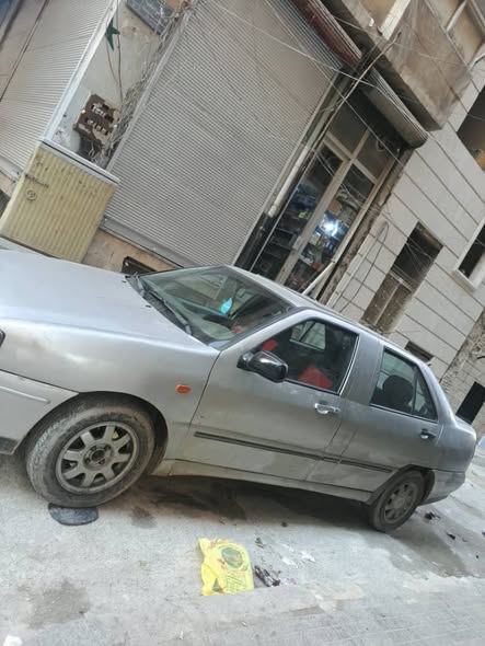 شيري شمعة 2003 - صورة 4