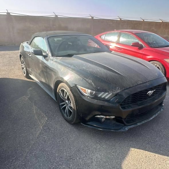 فورد موستنغ 2017 - صورة 1