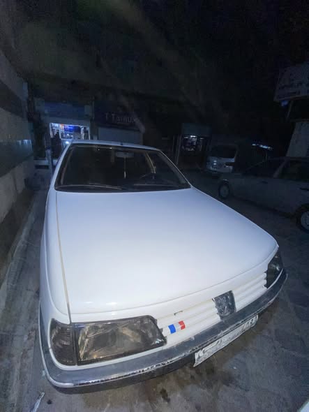 بيجو 405 1993 - صورة 1