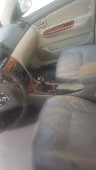 بي واي دي اف 3 2006 - صورة 4