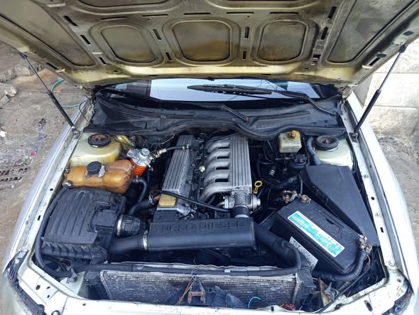 اوبل ستشن 1999 - صورة 2