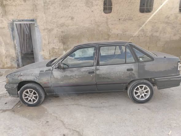 دايو رايسر 1993 - صورة 1