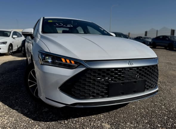 بي واي دي تشين بلس دي إم-آي 2025 - صورة 5