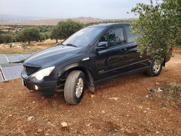 سونك يونك 2008 - صورة 3