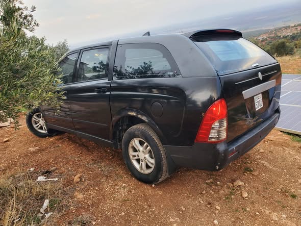 سونك يونك 2008 - صورة 5