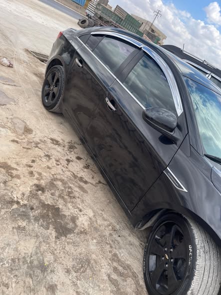 شفر كروز 2012 - صورة 3