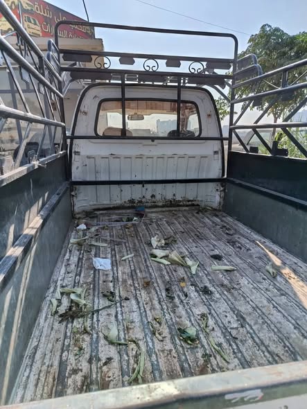 هافي مني 2010 - صورة 4