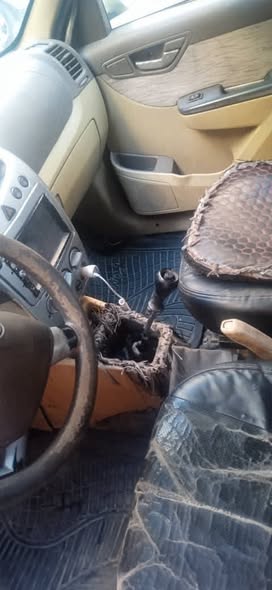 شانا SC 2010 - صورة 3