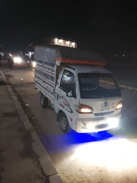 هافي سونغ 2010 - صورة 5