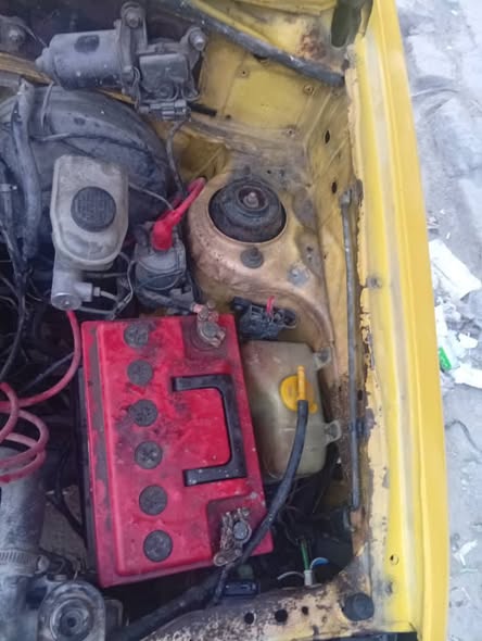 سابا سابا 2003 - صورة 4