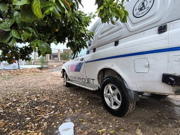 شفر كب 1992 - صورة 3