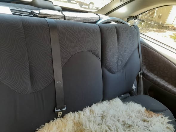 روفر كرت 2001 - صورة 2