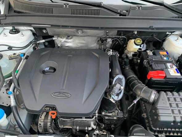 شيري تيغو 4 2020 - صورة 4