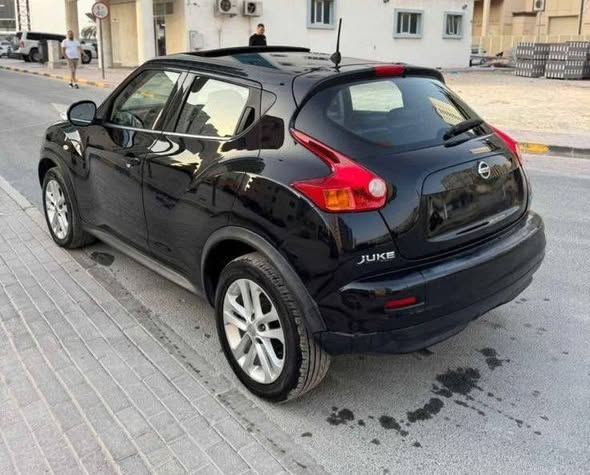 نيسان جوك 2014 - صورة 2