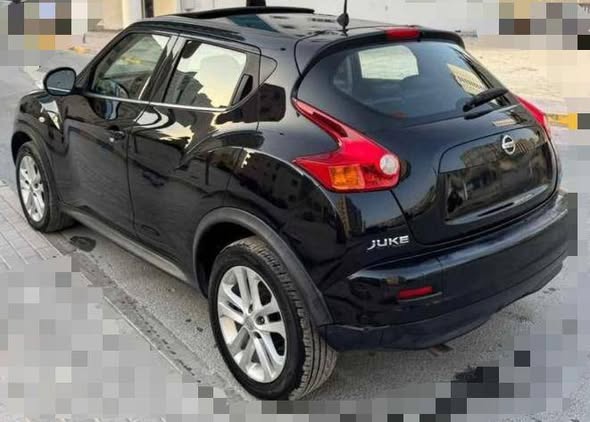 نيسان جوك 2014 - صورة 3
