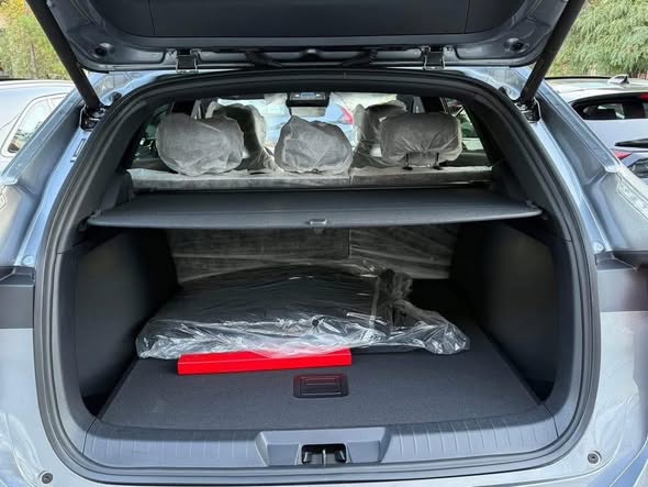 بي واي دي سونغ بلاس 2025 - صورة 4