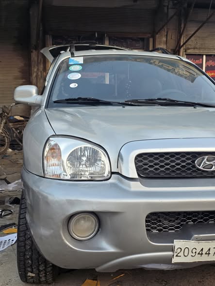 سندفي سندفي 2005 - صورة 1