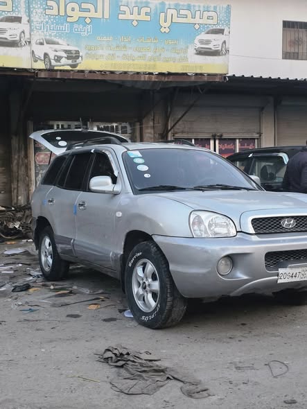 سندفي سندفي 2005 - صورة 2