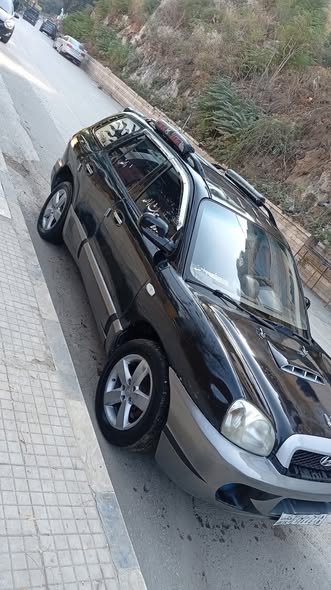 هيونداي سانتافي 2002 - صورة 5