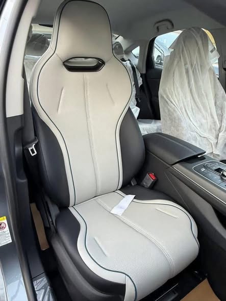 BYD ديستروير 2025 - صورة 3