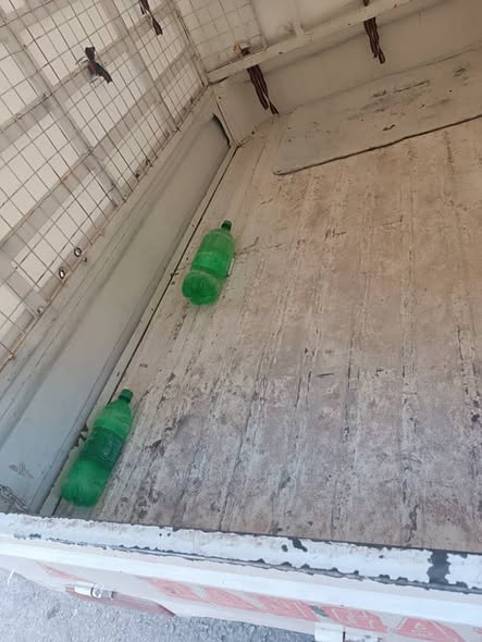 هانجان كرت 1994 - صورة 5