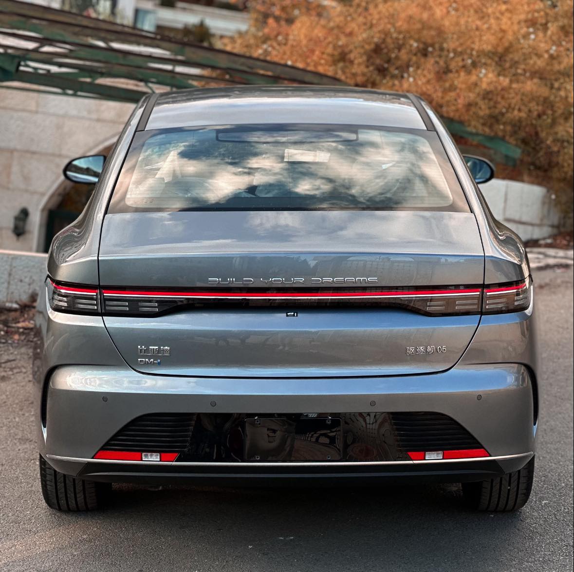 BYD Destroyer 2025 - صورة 5