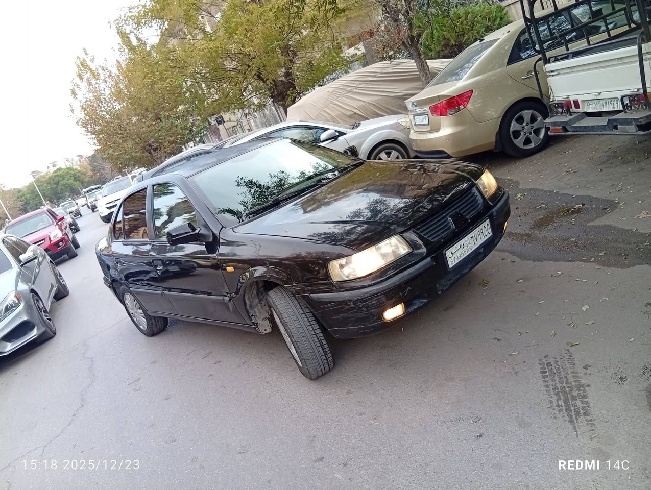 شام شام 2007 - صورة 1