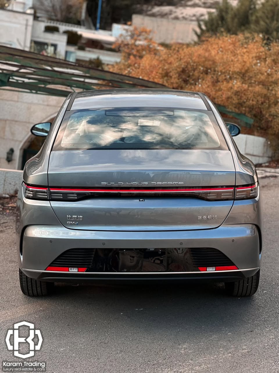 بي واي دي ديستروير 05 2024 - صورة 5