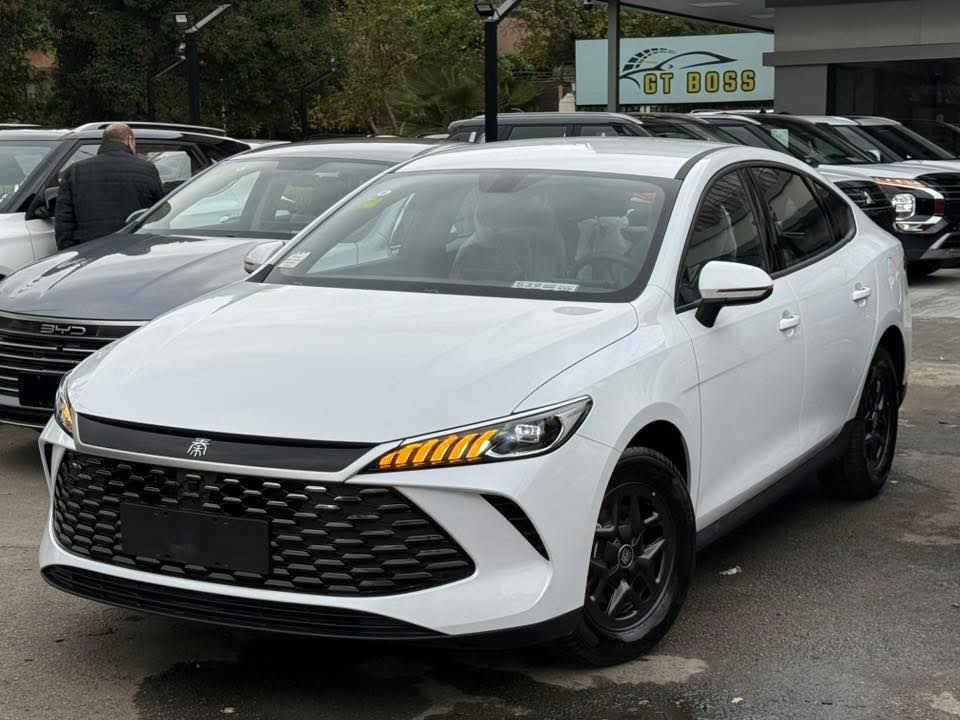 باي دي تشن بلاس 2025 - صورة 1