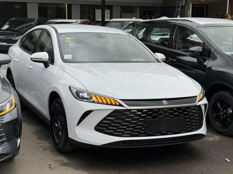 باي دي تشن بلاس 2025 - صورة 2