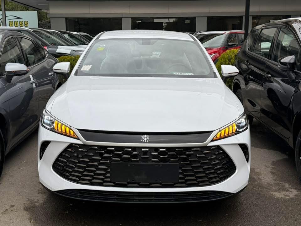 باي دي تشن بلاس 2025 - صورة 3