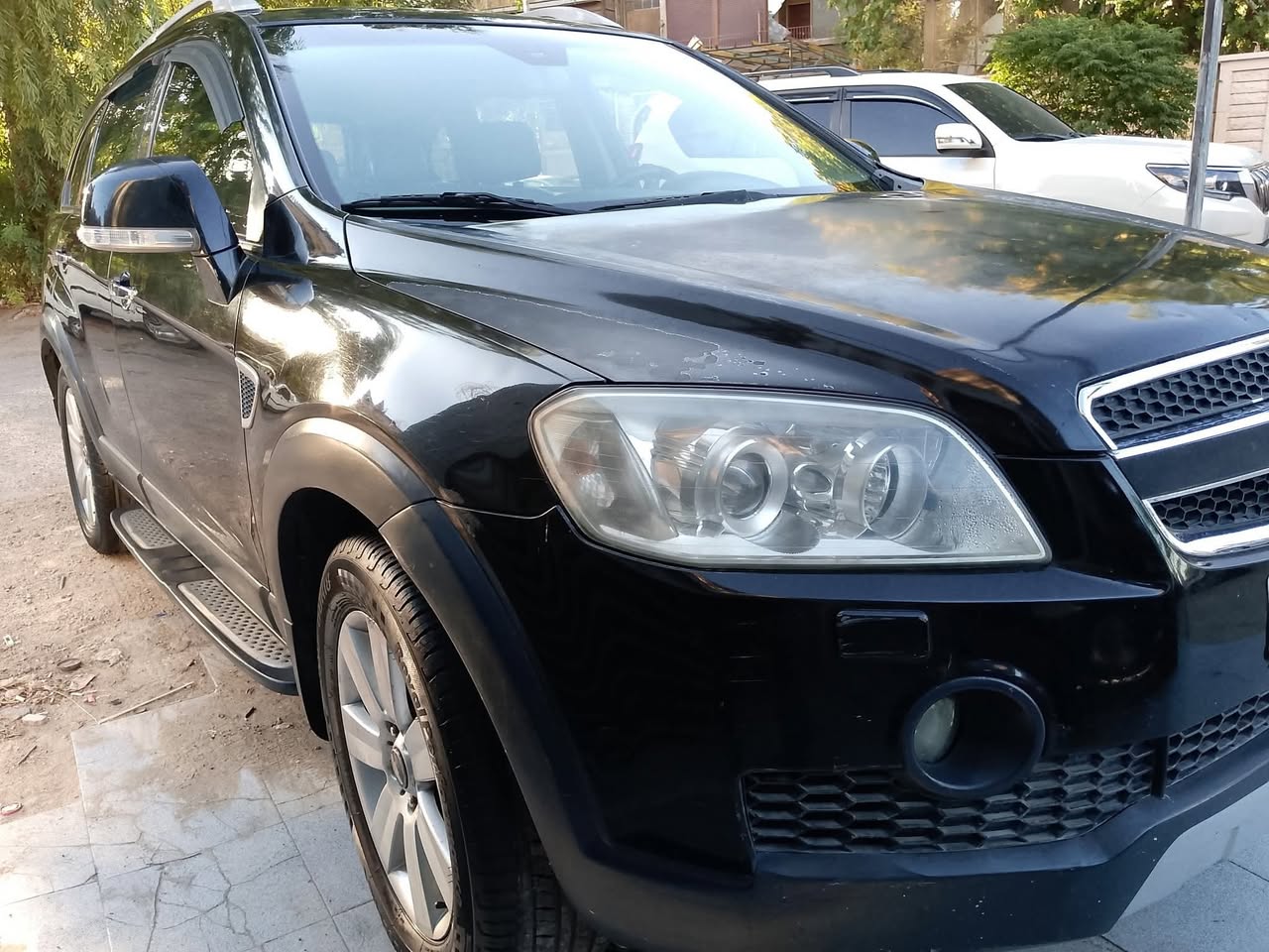 شفر كابتيفا 2007 - صورة 4