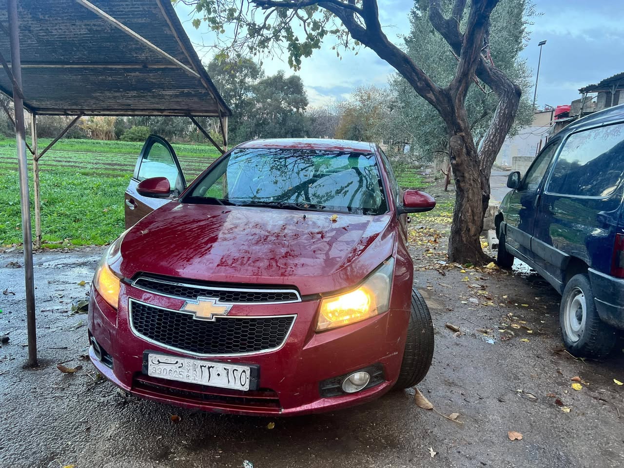 شفر كروز 2011 - صورة 1