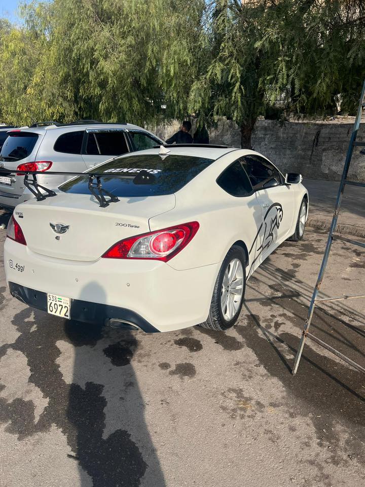 جينيسس كوبيه 2011 - صورة 5